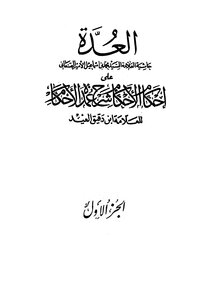 The Kit Is Al-san’ani’s Footnote On The Rulings On Rulings On The Explanation Of The Pillars Of Rulings