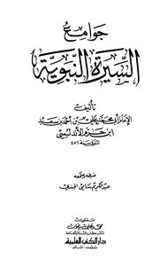 Mosques Of The Prophet's Biography