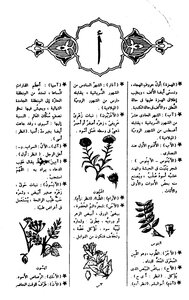 المعجم الوجيز
