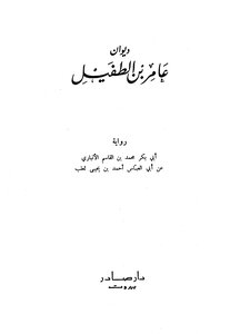 Diwan Of Amer Bin Tufail