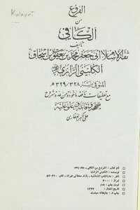 Origins From Al Kafi / Vol. 8