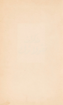 Nicholas Turk's Diary
