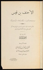 Al-ahnaf Bin Qays - His Lineage - His Description And His Narrations.