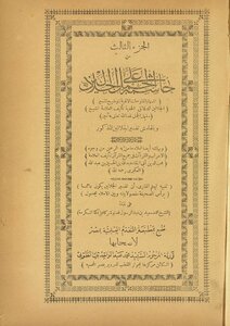 Footnote To The Camel On Al-jalalain V.3