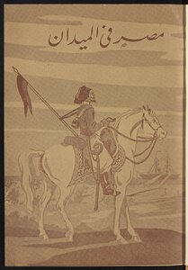 مصر في الميدان