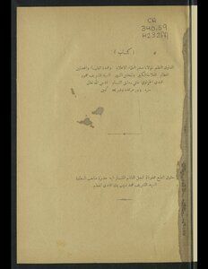 الفتاوى