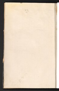 The First Arab Conference