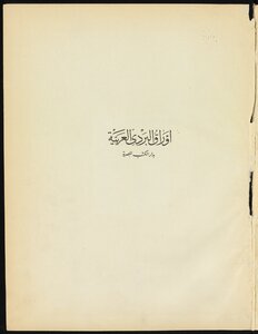 The Arabic Papyrus In The Egyptian House Of Books