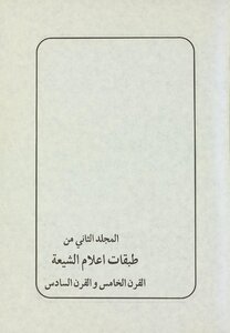 Layers Of Shiite Flags / ‎mujallad 2