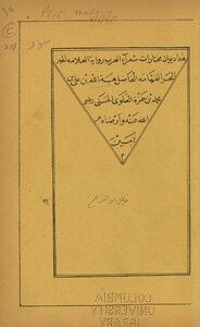 Diwan Anthology Of Arab Poets