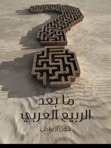 Post-arab Spring: How Islamists Hijacked The Middle East's Revolutions