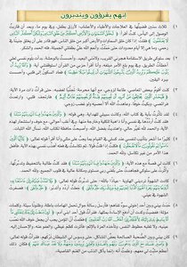 The Qur’an Changed Me - They Lived With The Qur’an And Their Lives Changed