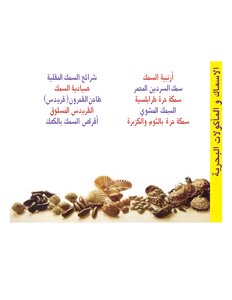 الأسماك و المأكولات البحرية