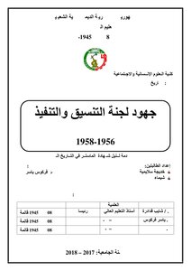 جهود لجنة التنسيق