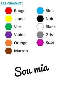 French Language Review For The Fourth Year Of Primary