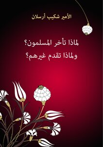 Why Did The Muslims Delay? Why Offer Others?
