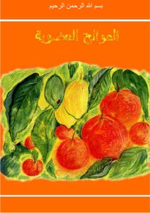المحتويات