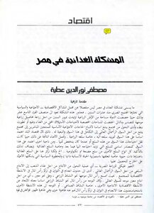 The Food Problem In Egypt