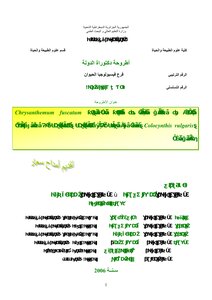 Excavation Of The Active Molecules Of The Two Desert Plants Book 687