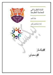 المادة النظرية في المحاسبة الحكومية