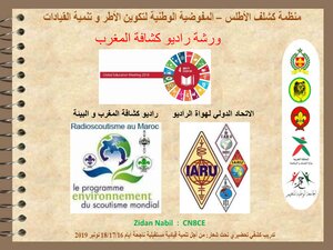 Scouting And The United Nations Is An Entry From The Strategic Program Of The World Organization