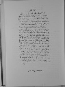 النخل Z