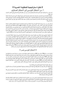 A Strategic View Of The Egyptian Resistance