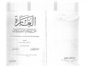 الغارة على العالم الإسلامي Z