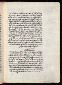 A Message In Science To The Amidi