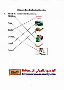 English Language Activities For The Second Grade Of Primary School