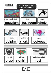 Time For English 5 Elementary Term 2 Note 2