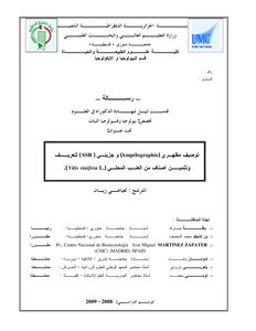 توصيف مظهري Ampélographie وجزيئي SSR لتعريفوتثمين أصناف من العنب المحلي كتاب 991