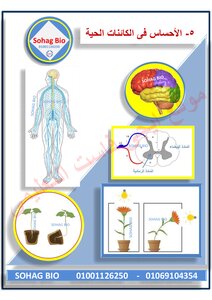 A Note Of Revival For The Second Grade Of Secondary School - Second Term 2020 Sohag Bio
