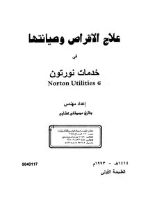 Disk Treatment And Maintenance At Norton Services