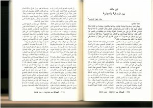 Ibn Malik Between The Descriptive And The Normative - Sana Rafiq Al-sawas