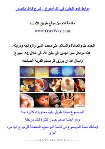 Fetal Development Stages At 41 Weeks