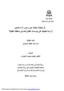 Ahmed Al-saudi Literature - The Impact Of Disguised Unemployment On The Performance Level Of Workers - An Applied Study... Master Of Business Administration (mba) 2013