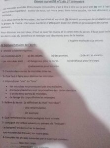 The Assignments Of The First Year - The Average Of The First Semester - All Subjects