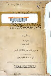 Egypt In The Nineteenth Century Saleh Jawdat