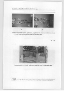 The Virgin Mary Tree In Matariya - A Historical Study