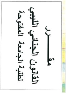 القانون الجنائي الخاص