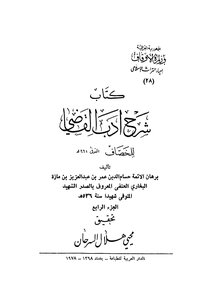 شرح أدب القاضي - ج 4