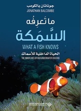 What Does A Fish Know?