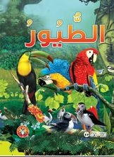 الطيور