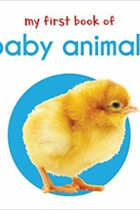 My First Book Of Baby Animals: First Board