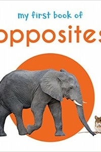 My First Book Of Opposites: First Board