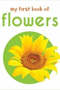 My First Book Of Flowers: First Board