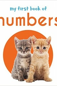 My First Book Of Numbers: First Board