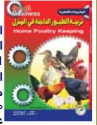 تربية الطيور الداجنة