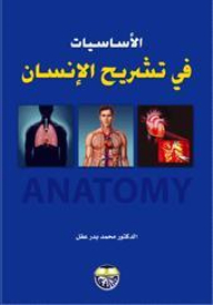 The Basics Of Human Anatomy